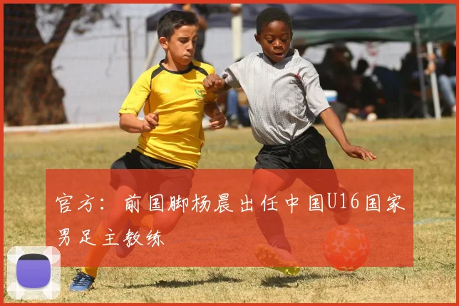 官方：前国脚杨晨出任中国U16国家男足主教练