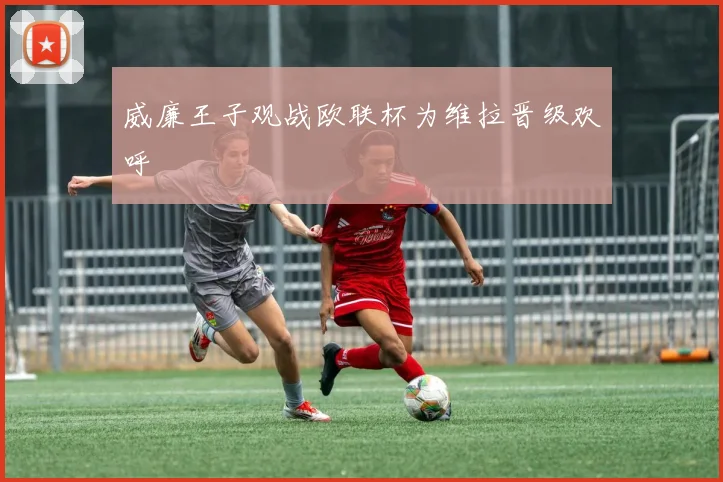 威廉王子观战欧联杯为维拉晋级欢呼